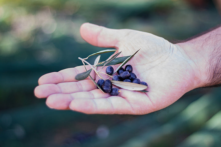 Hand with Olives